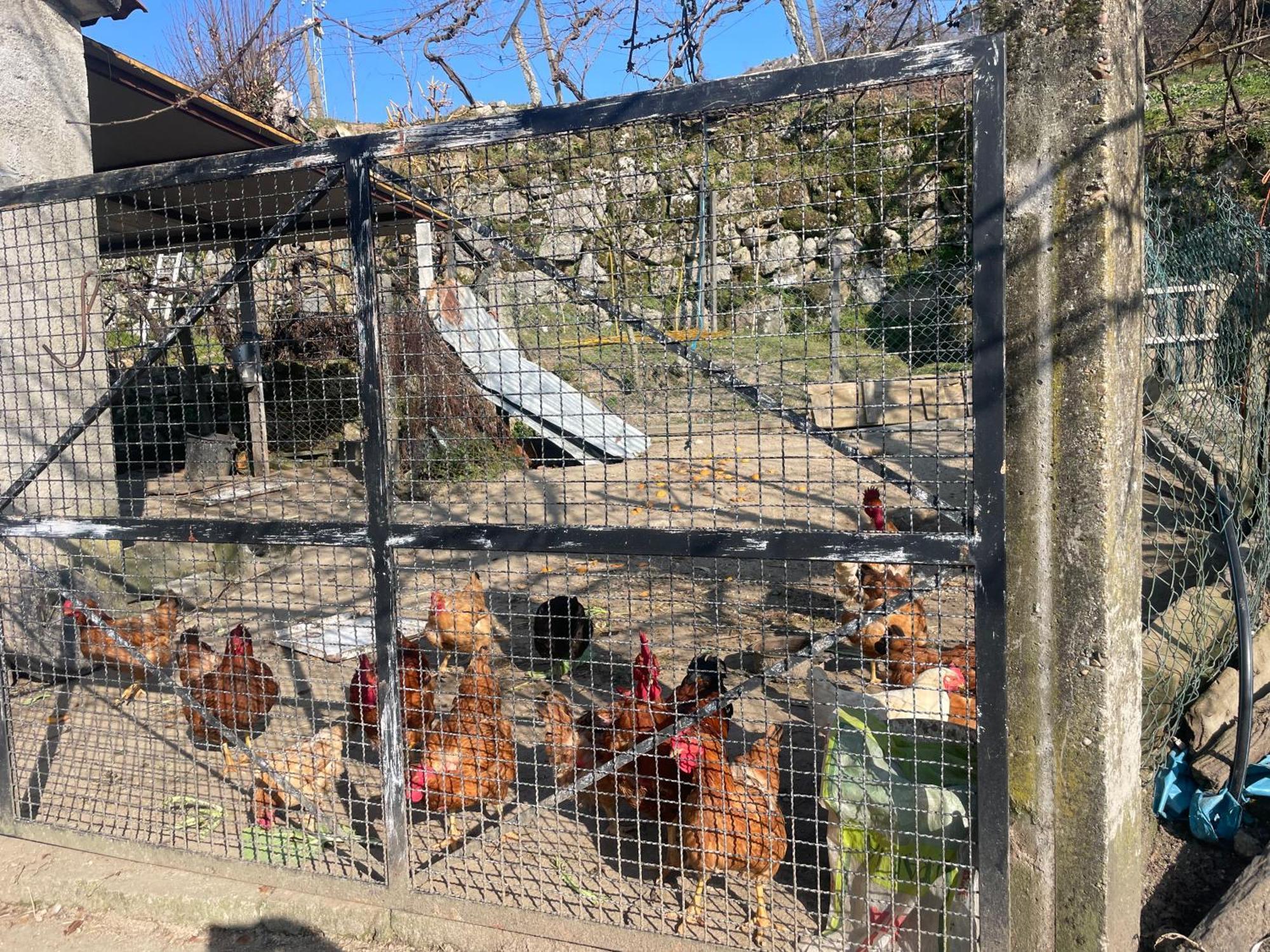 Quinta Do Sonho Villa Resende Eksteriør billede