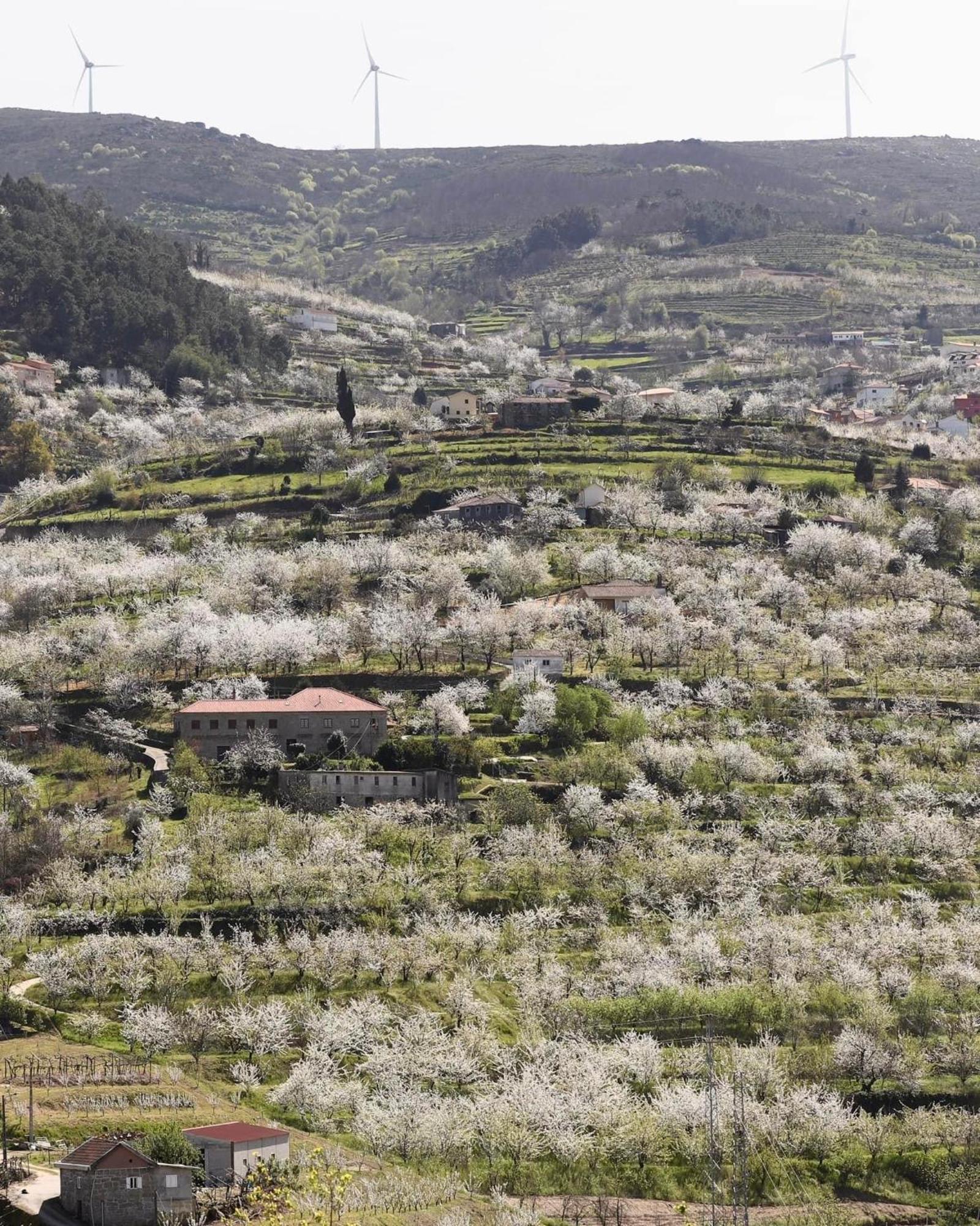 Quinta Do Sonho Villa Resende Eksteriør billede