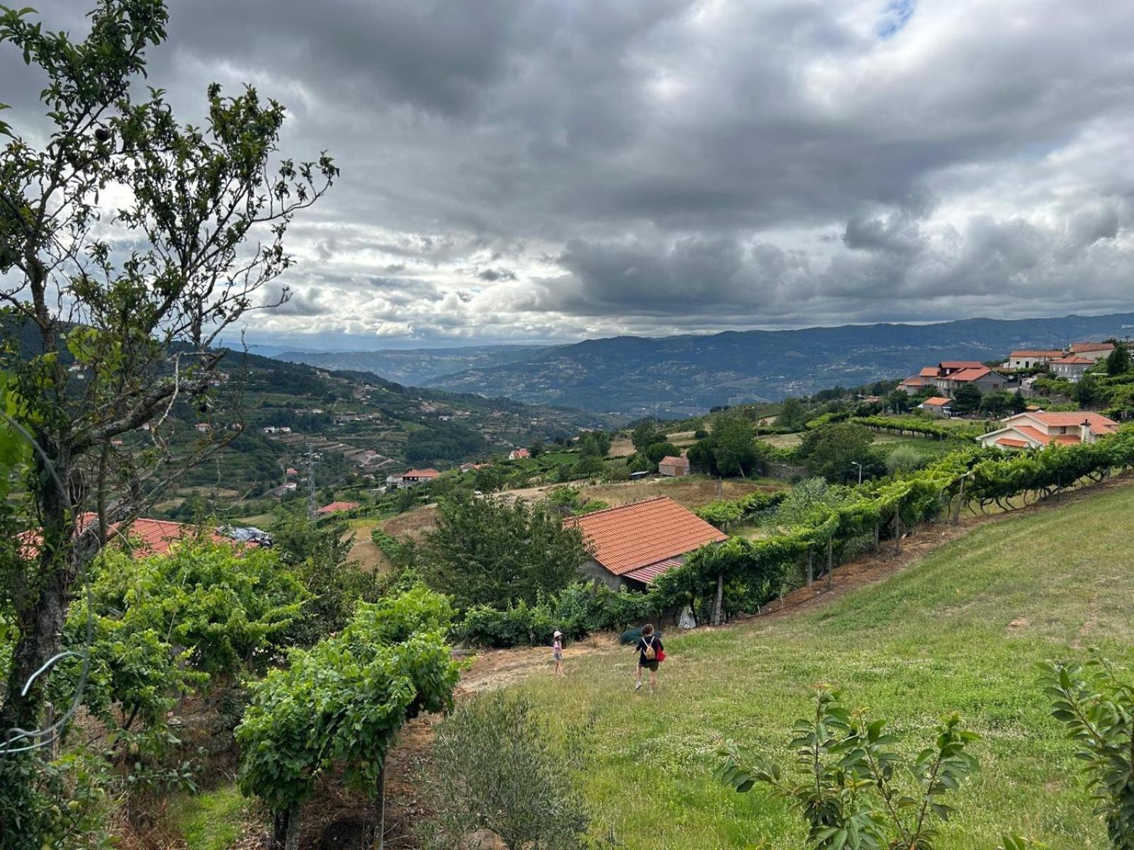 Quinta Do Sonho Villa Resende Eksteriør billede