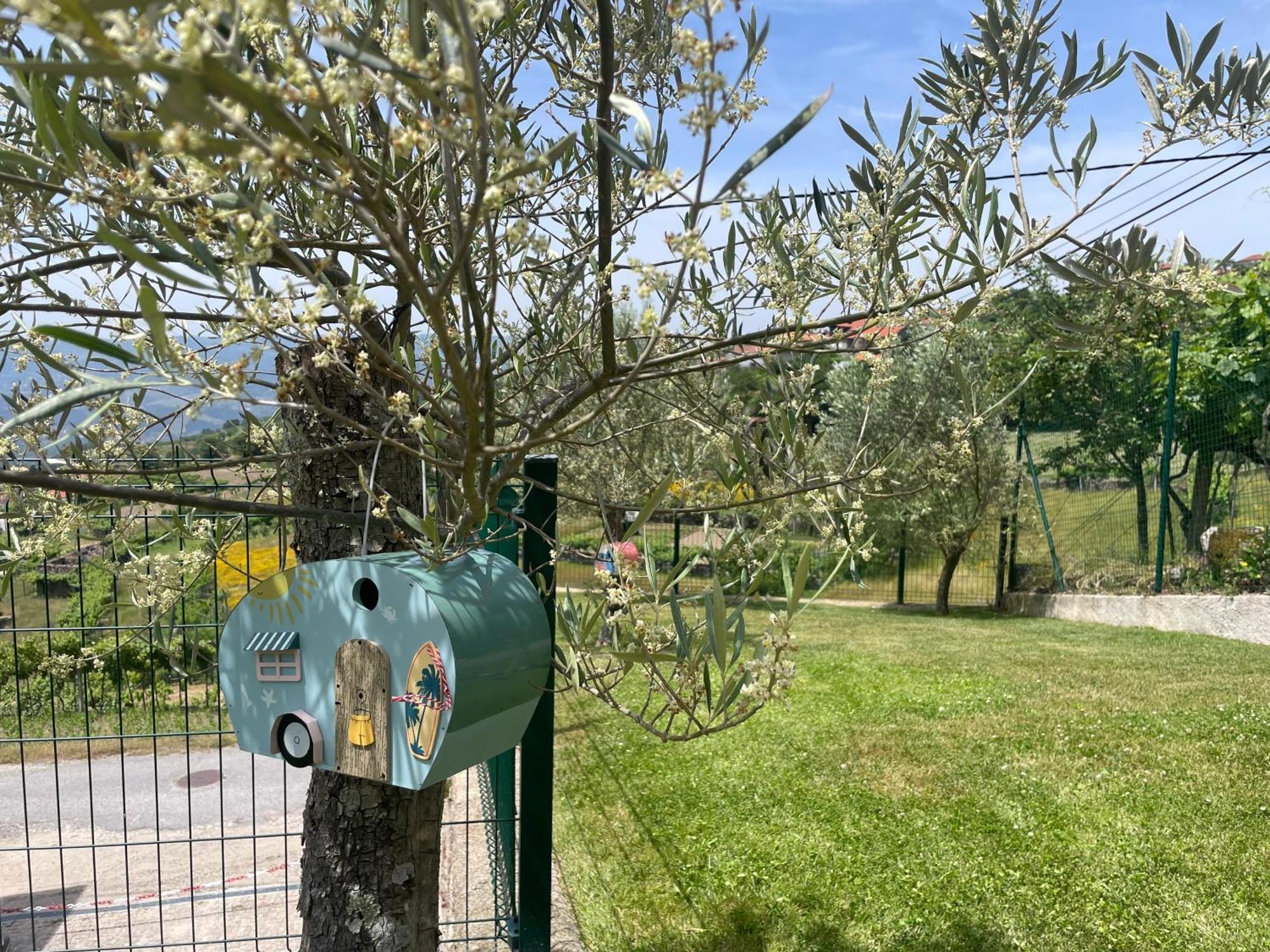 Quinta Do Sonho Villa Resende Eksteriør billede